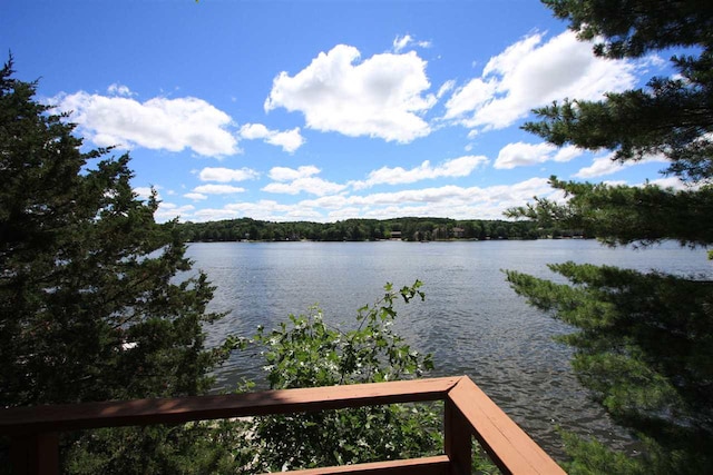 water view with a wooded view