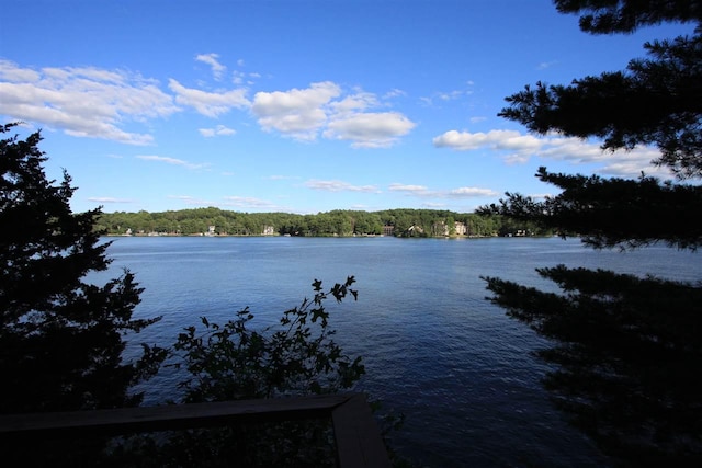 property view of water featuring a wooded view