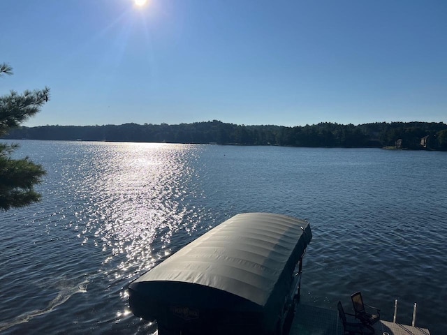 dock area with a water view