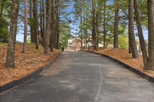 view of street featuring driveway