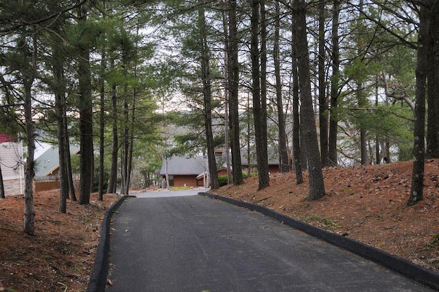 exterior space featuring curbs and driveway