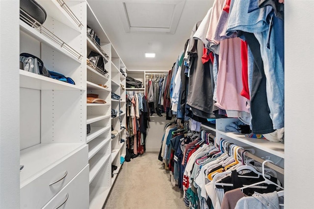 walk in closet featuring carpet flooring and attic access