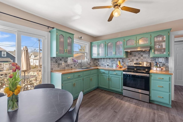 kitchen with backsplash, under cabinet range hood, dark wood finished floors, stainless steel electric range, and a sink