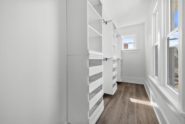 walk in closet featuring wood finished floors