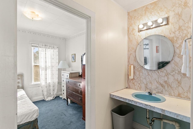 bathroom featuring baseboards and a sink