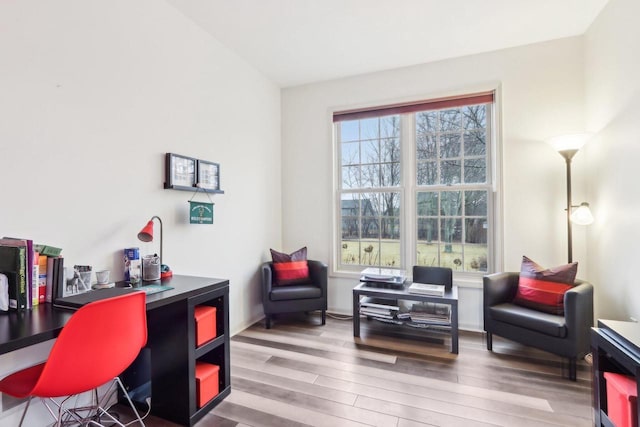 office space featuring wood finished floors