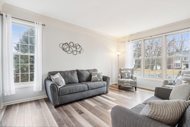 living room with ornamental molding, wood finished floors, and a healthy amount of sunlight