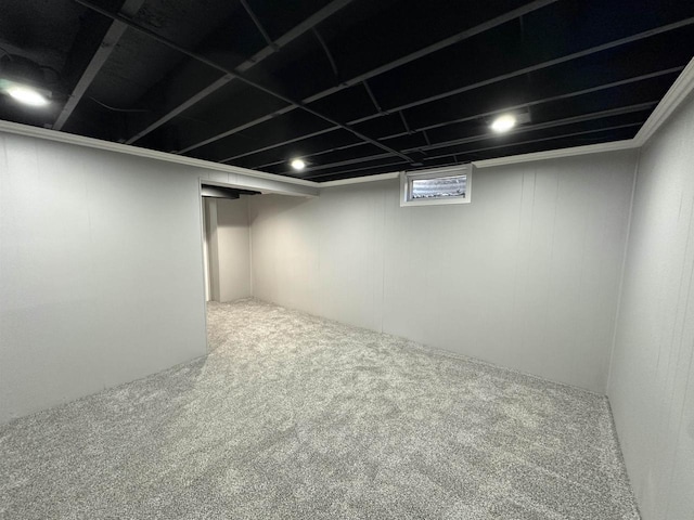 basement featuring carpet flooring