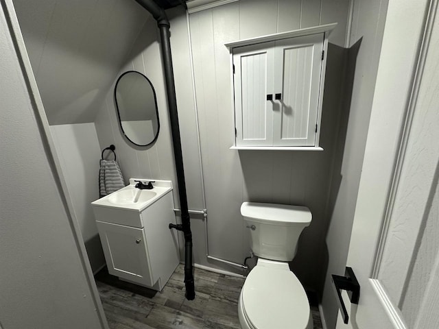 bathroom featuring vanity, toilet, and wood finished floors