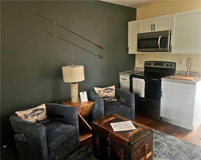 living area featuring dark wood-style floors