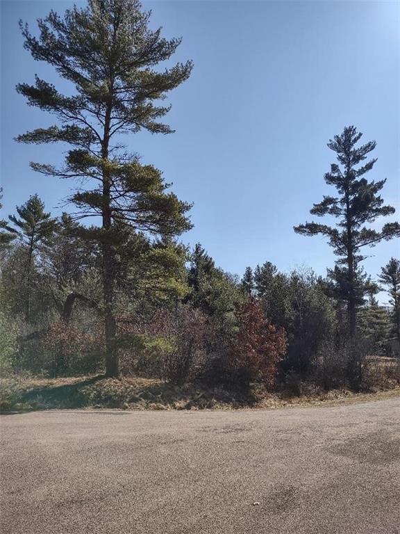 LOTS41, 42 S Red Pine Trl, Black River Falls WI, 54615 land for sale