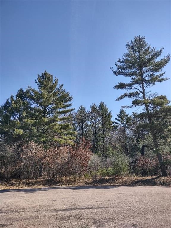 Listing photo 3 for LOTS41, 42 S Red Pine Trl, Black River Falls WI 54615