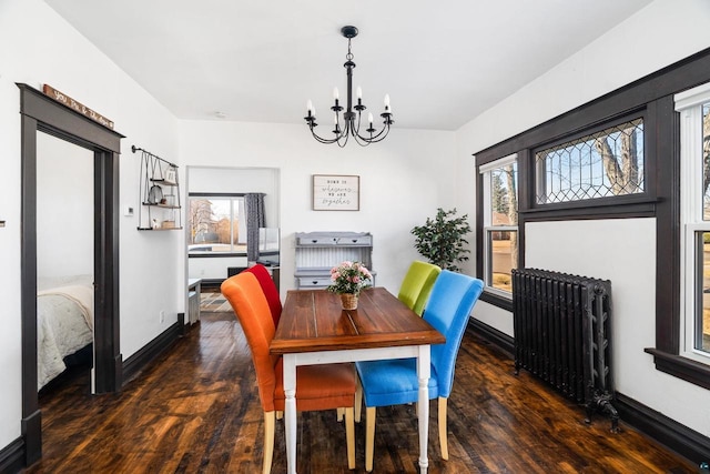 dining space with a wealth of natural light, a notable chandelier, radiator, and wood finished floors