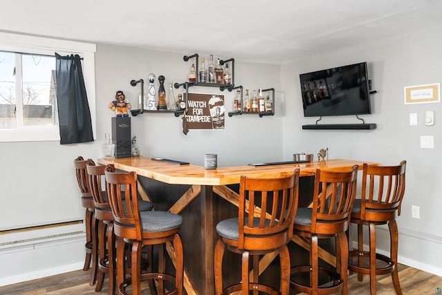 bar featuring baseboards, bar area, and wood finished floors