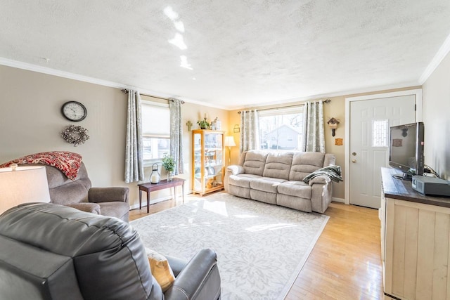 living area with light wood-style flooring, a textured ceiling, baseboards, and ornamental molding