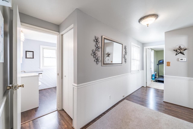 hallway featuring a wealth of natural light, wood finished floors, and wainscoting