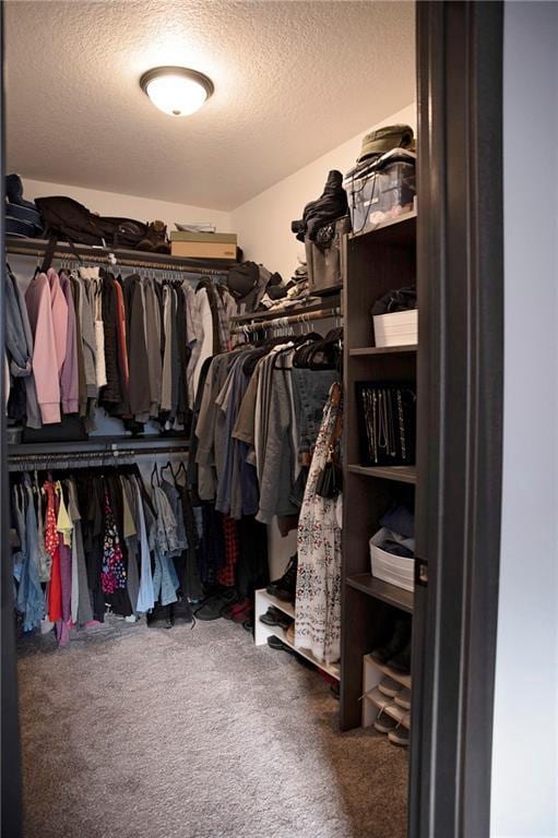 spacious closet featuring carpet floors