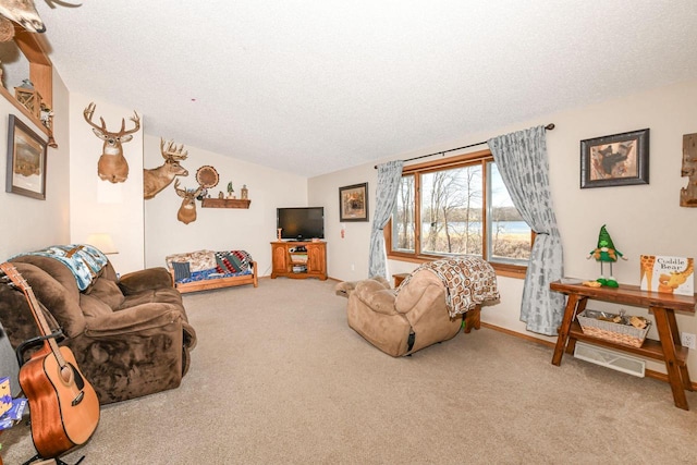 carpeted living area with a textured ceiling, baseboards, and vaulted ceiling