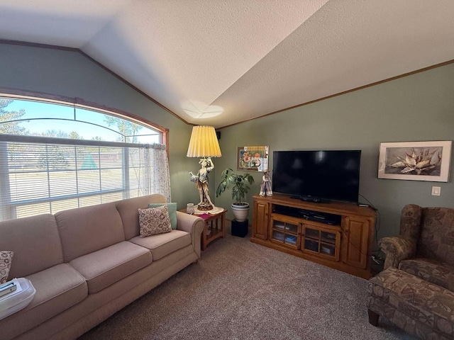 living area with lofted ceiling, ornamental molding, carpet, and a textured ceiling