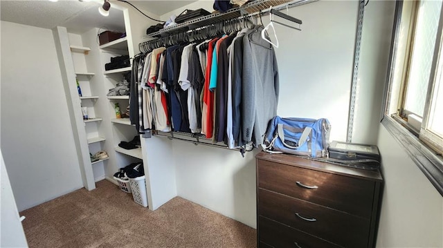 walk in closet with carpet flooring