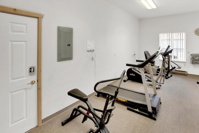 workout area with electric panel and baseboards