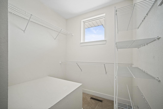 spacious closet featuring visible vents and carpet flooring