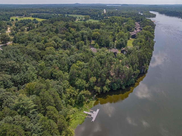 aerial view featuring a forest view and a water view