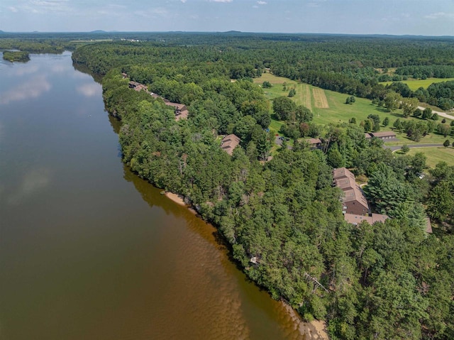 birds eye view of property featuring a view of trees and a water view