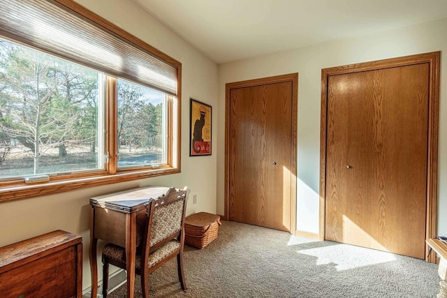 sitting room with carpet