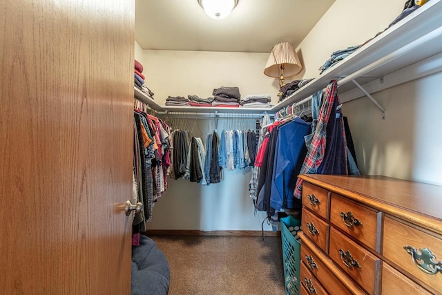 spacious closet featuring carpet