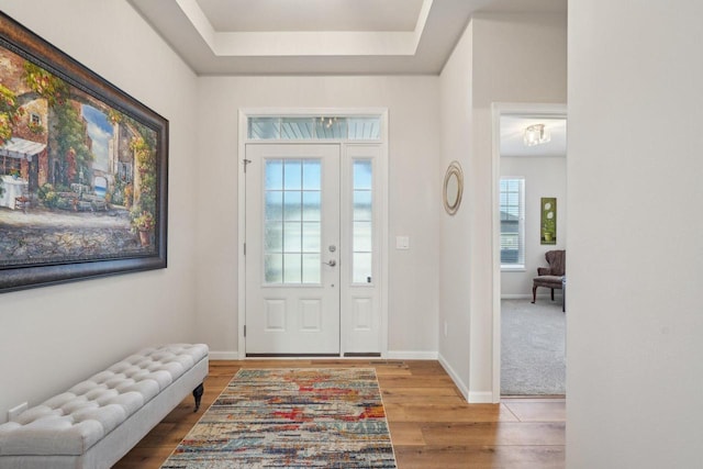 entrance foyer featuring a raised ceiling, baseboards, and wood finished floors