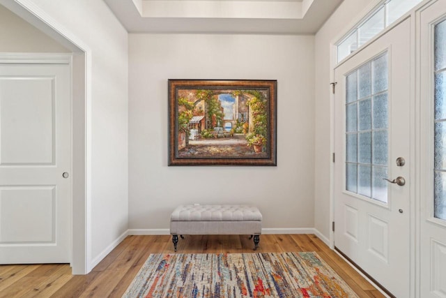 foyer entrance featuring baseboards, a raised ceiling, and light wood-style flooring