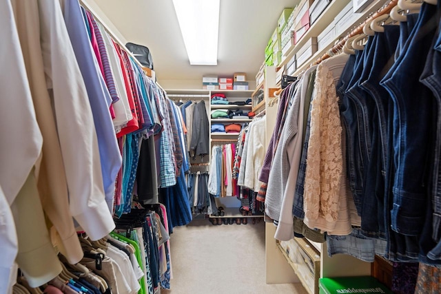 spacious closet with carpet flooring