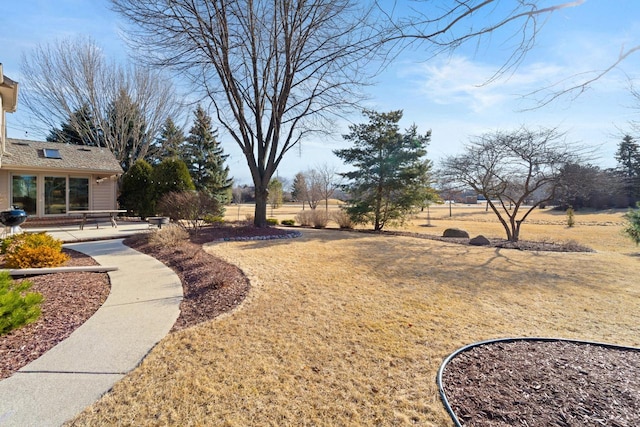 view of yard with a patio area