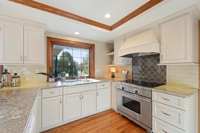 kitchen featuring high end stove, light stone countertops, premium range hood, a tray ceiling, and a sink