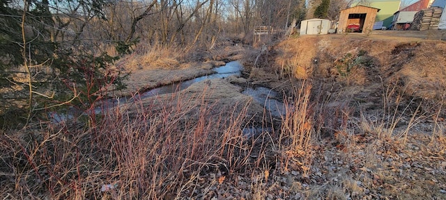 view of local wilderness