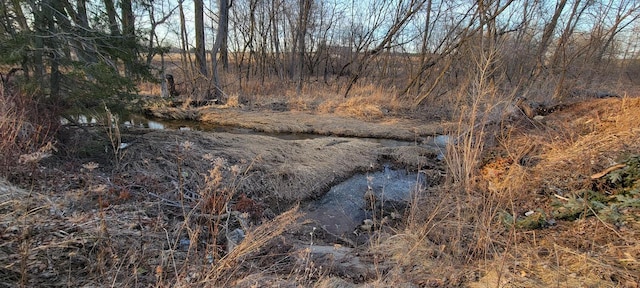 view of landscape