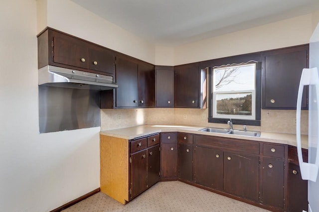 kitchen featuring a sink, dark brown cabinetry, under cabinet range hood, and light countertops