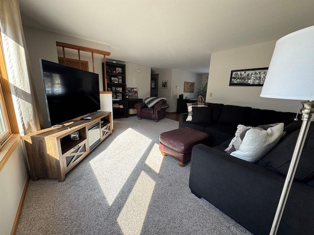 living room with carpet floors