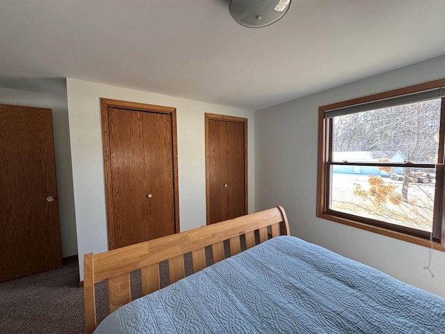 bedroom featuring carpet flooring and multiple closets