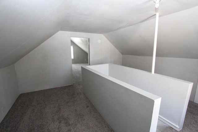 additional living space featuring vaulted ceiling and carpet floors