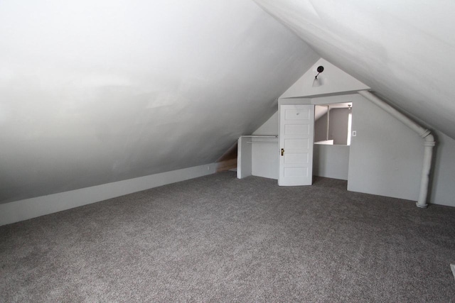 additional living space with lofted ceiling and carpet