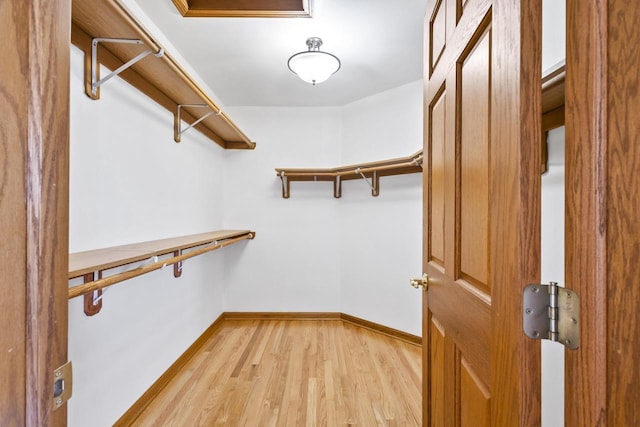 walk in closet with light wood-type flooring