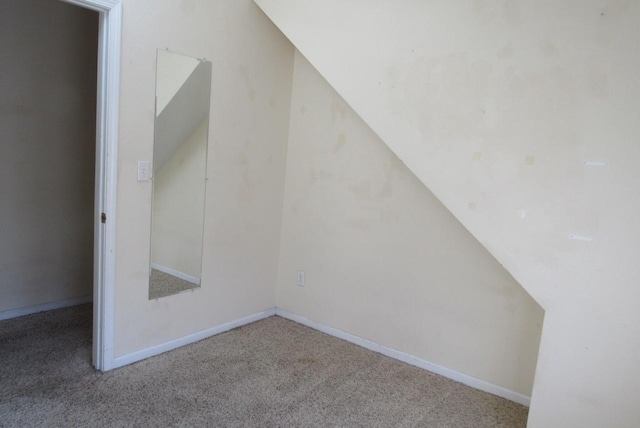 additional living space featuring baseboards and carpet floors