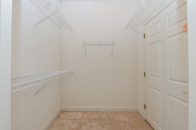 walk in closet with light colored carpet