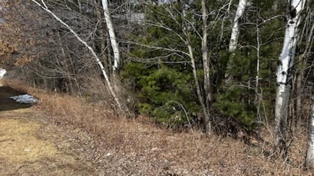 E Green Bay St, Shawano WI, 54166 land for sale