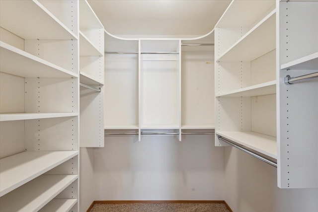 view of spacious closet