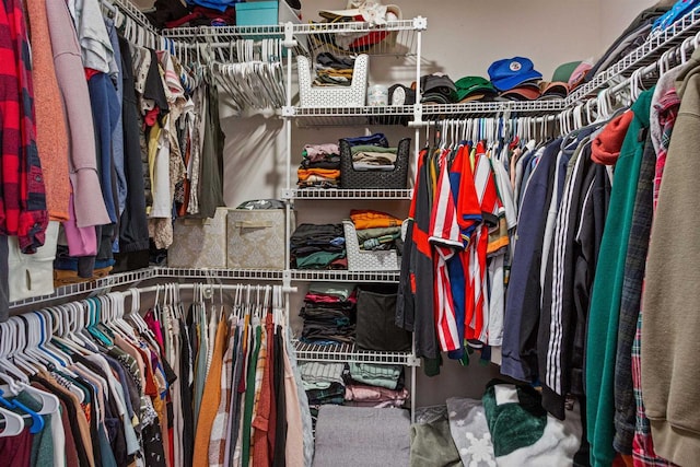 view of walk in closet