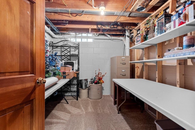 basement featuring carpet floors