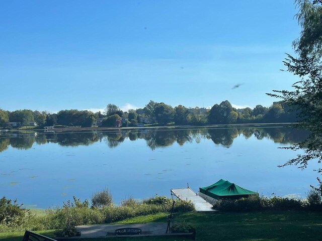 water view featuring a boat dock